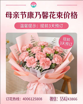 苏州花店母亲节康乃馨花束