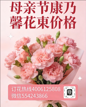 苏州花店母亲节康乃馨花束